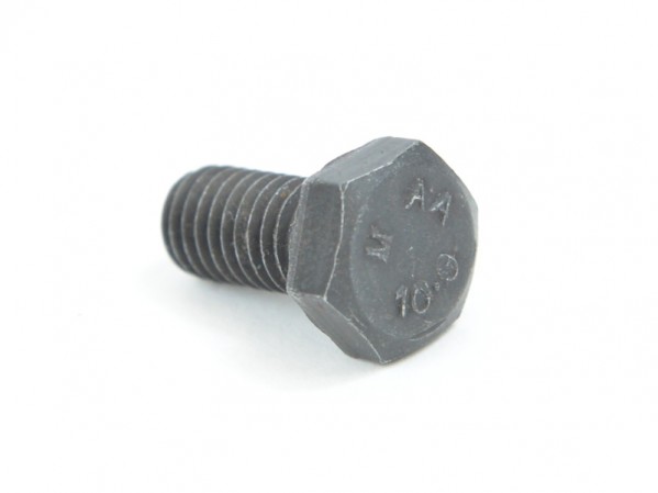 Bolt M8. 10-9. 16MM Hex